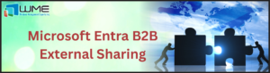 Microsoft Entra B2B External Sharing